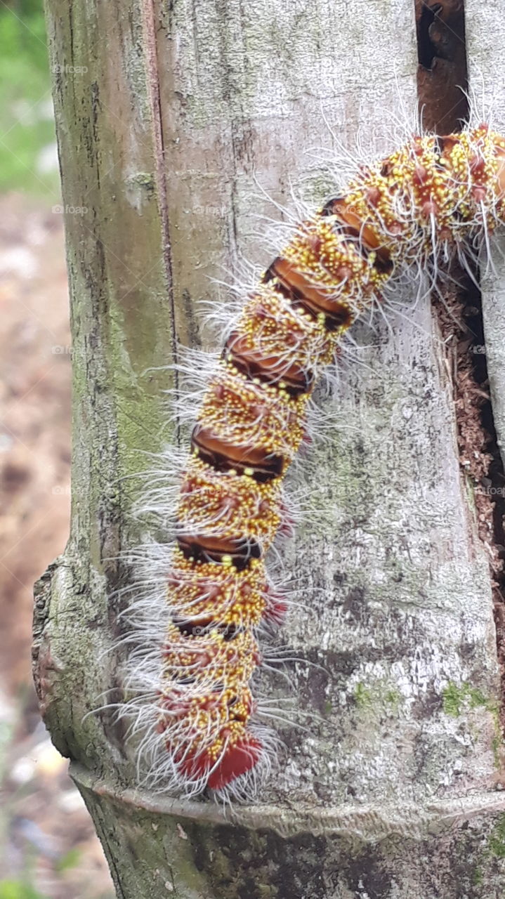 Beautiful sky and cloud in the sky