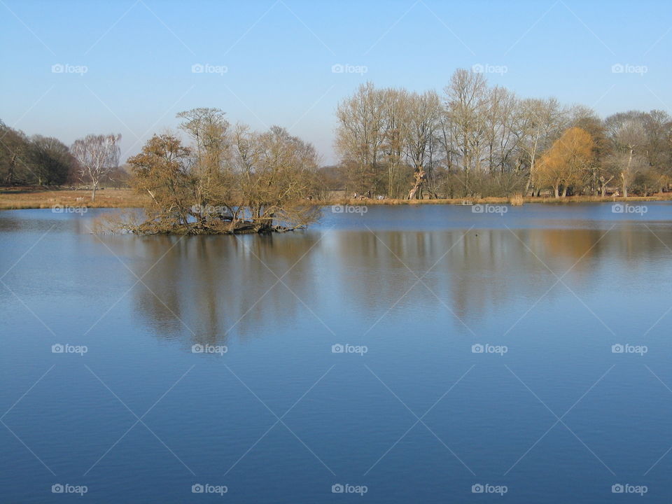 Richmond Park - London 