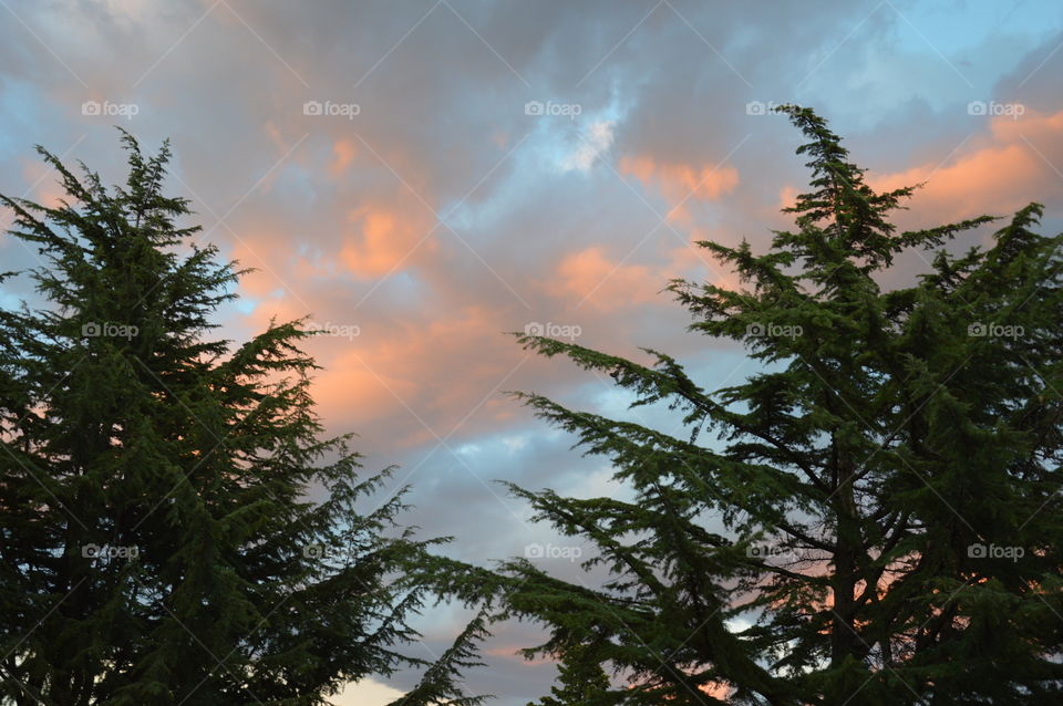 Endless summer Croatia