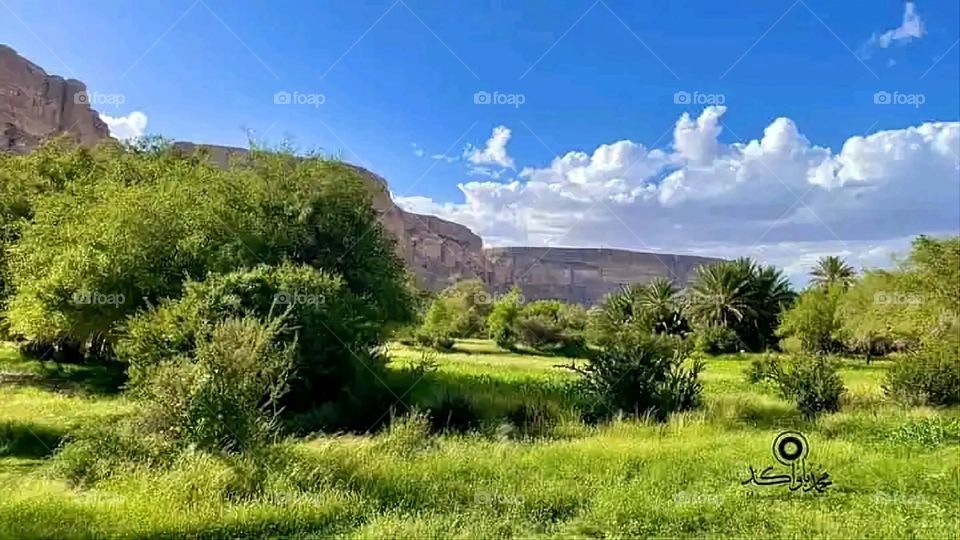 Glory be to God, the magnificent and picturesque view and the natural green trees are a view that is nothing more wonderful than it