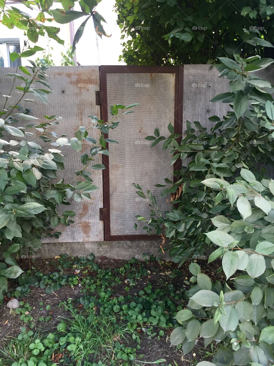 Hidden door