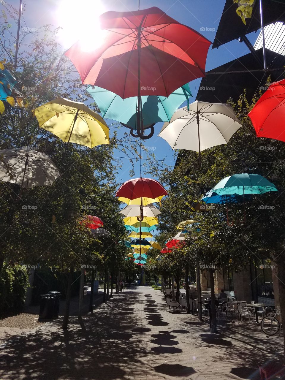 Sunny fall in Austin