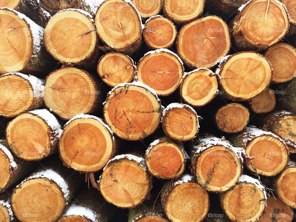 A full frame background of a pile or stack of wooden logs in a deforestation or firewood timber image