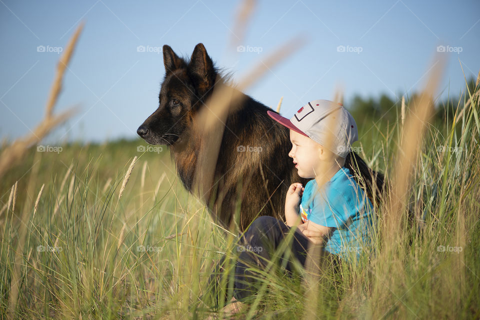 The boy and the dog look at the sea