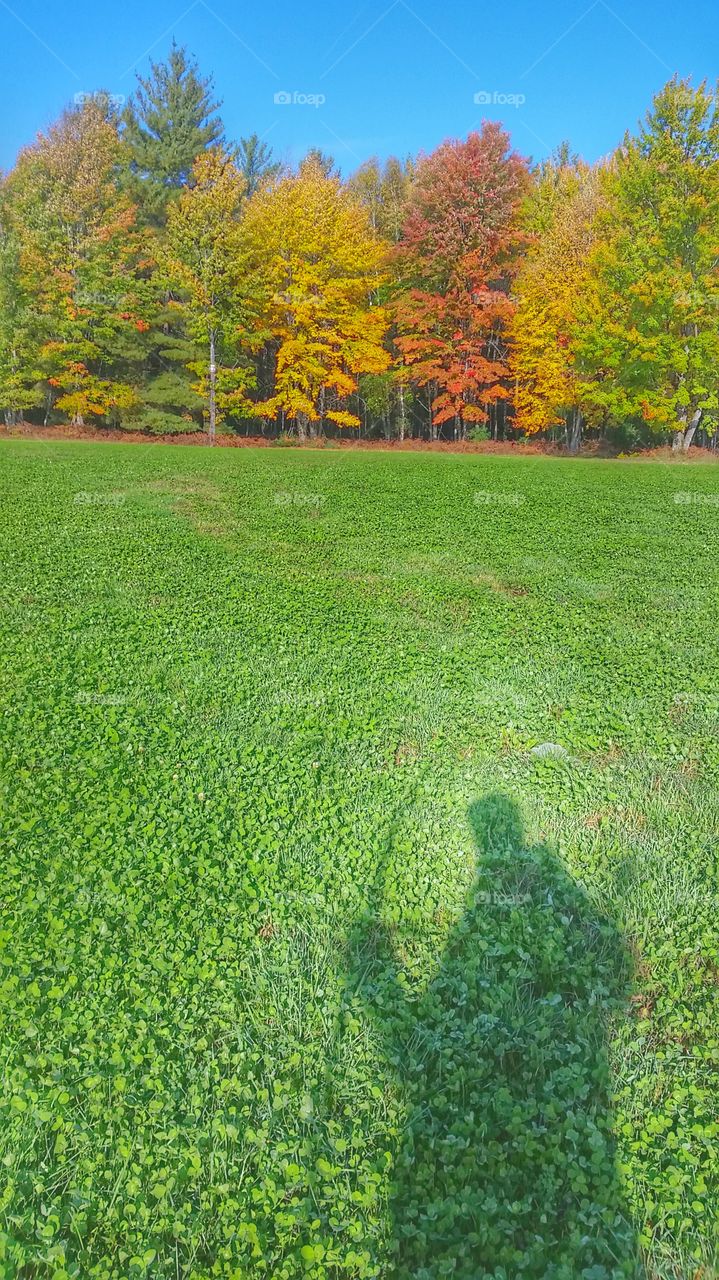 archer shadow on autumn field