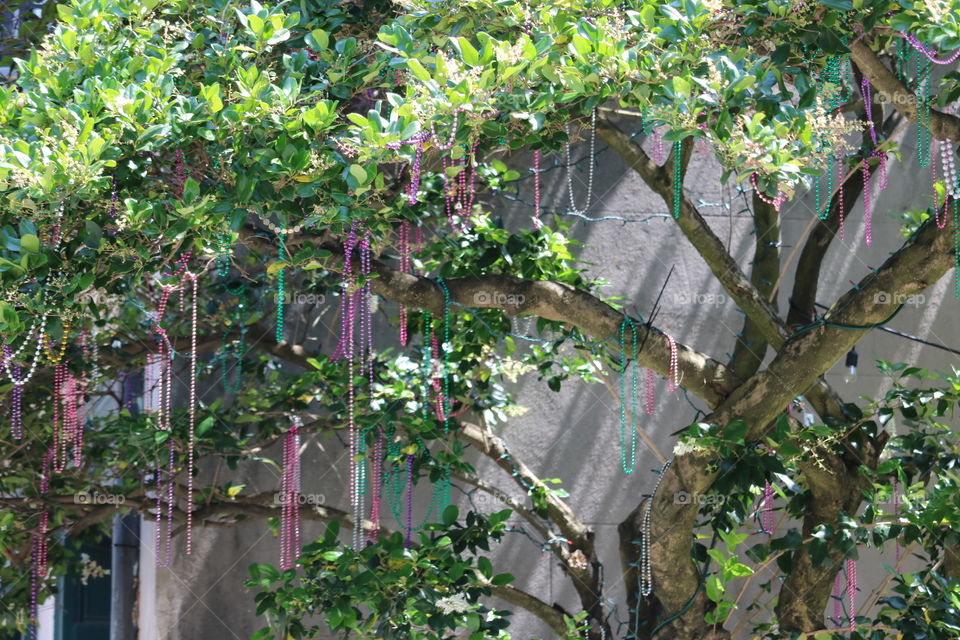 New Orleans bead tree.... lol! 