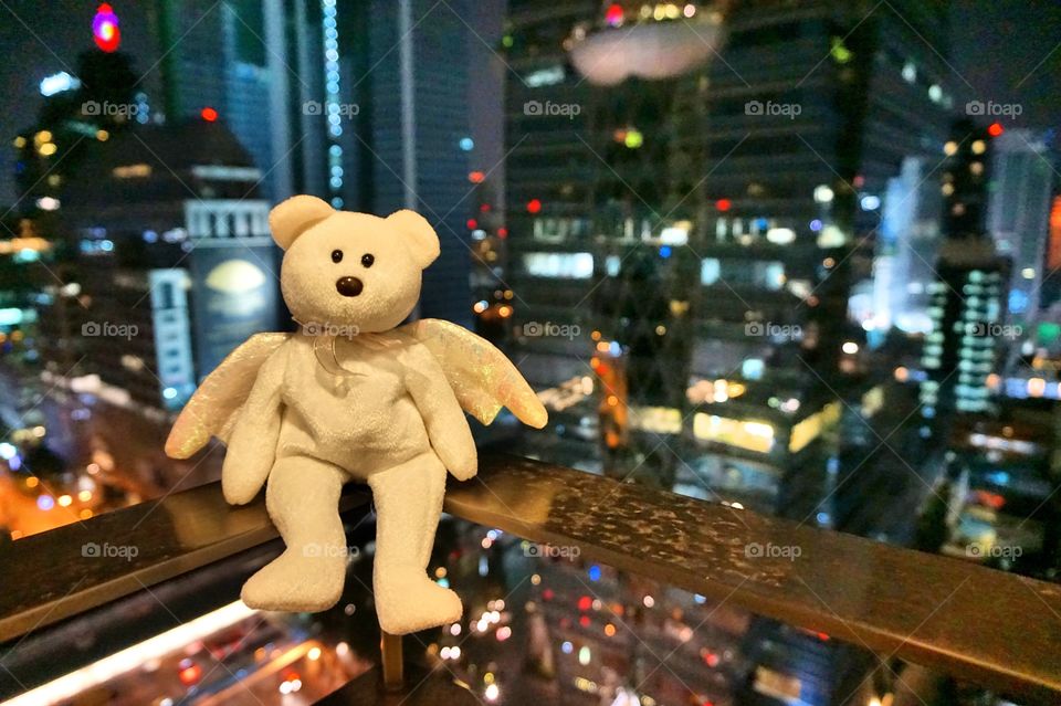 White bear in the city
