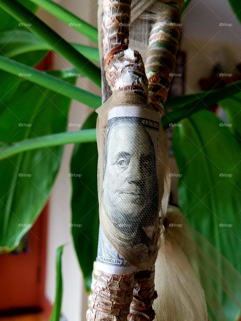 Green Color Story - $100 bill