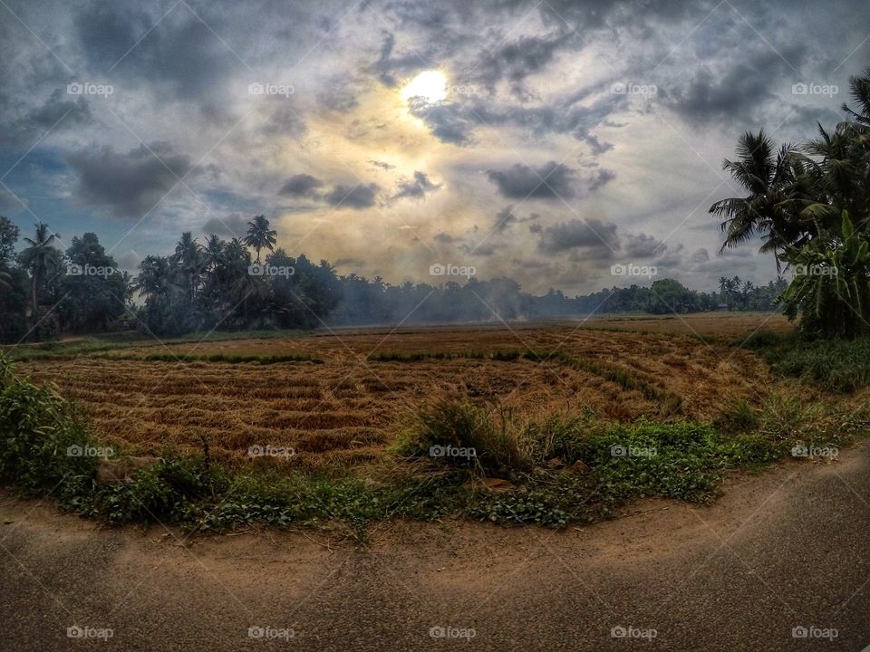 Kerala burning fields India 