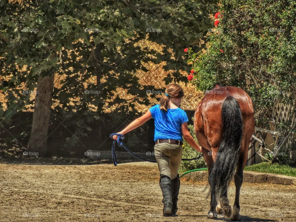 Girl With Horse. Young Girl Leading Her Horse From The Stables
