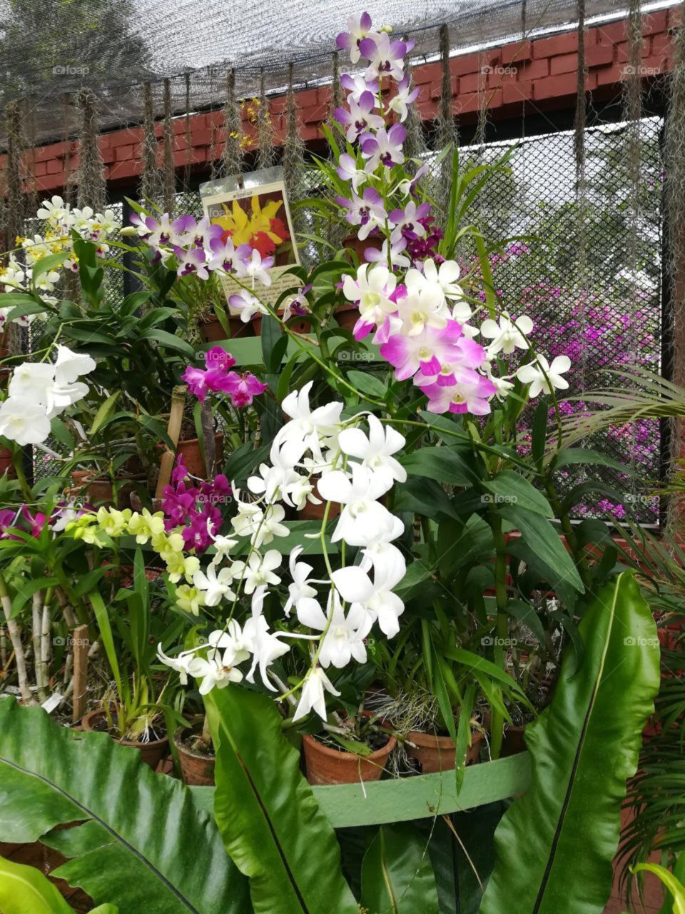 Be eco friendly...thats the best way to make this world a better place👍🏻