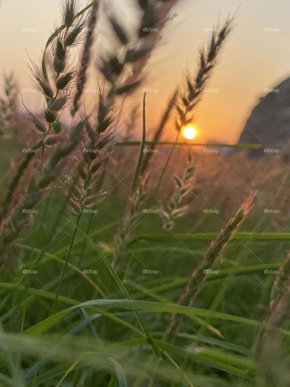 Camera iPhone 11