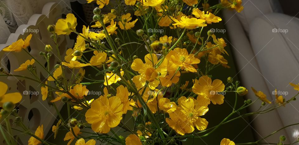 Butter Cup flower