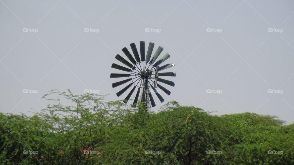 Windmill