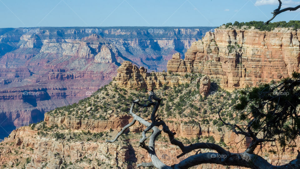 South rim Grand Canyon 