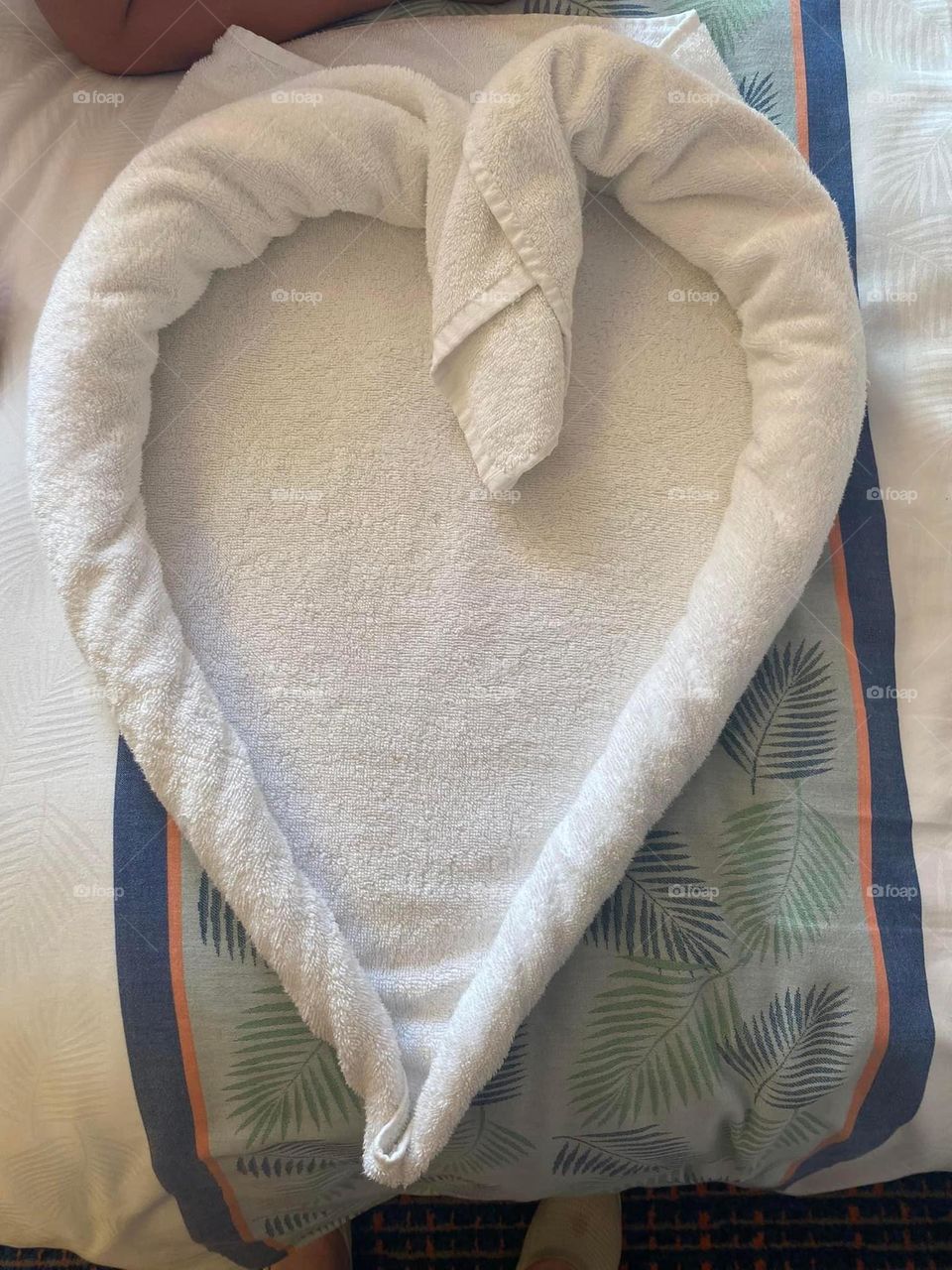 A swan heart is made of towels on a cruise ship. Towel art is a fun way to be welcomed back to one’s room. 