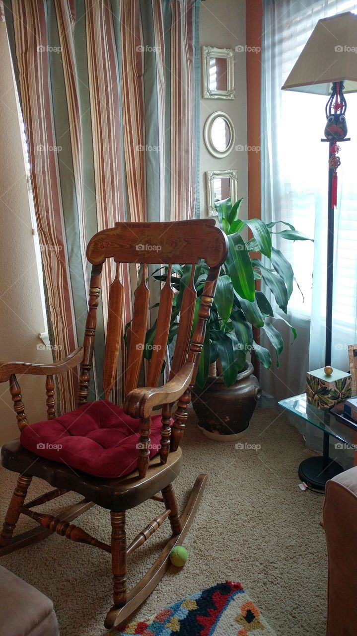 My rocking chair corner. Large house plant in a huge pot!