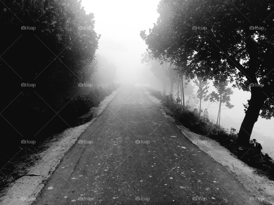 Road, Fog, Mist, Monochrome, Landscape