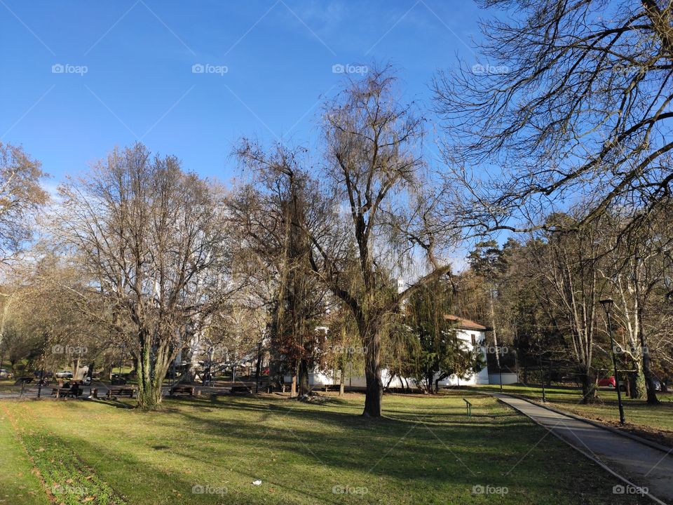 Belgrade Serbia Topcider park in autumn