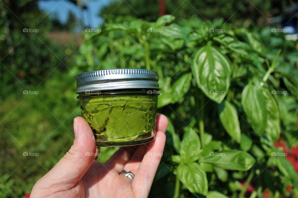 basil pesto