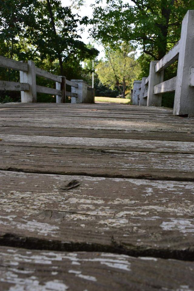 No Person, Wood, Outdoors, Tree, Water
