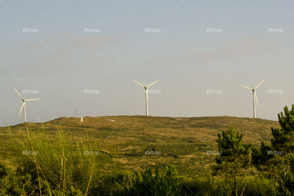 Renewable Energy