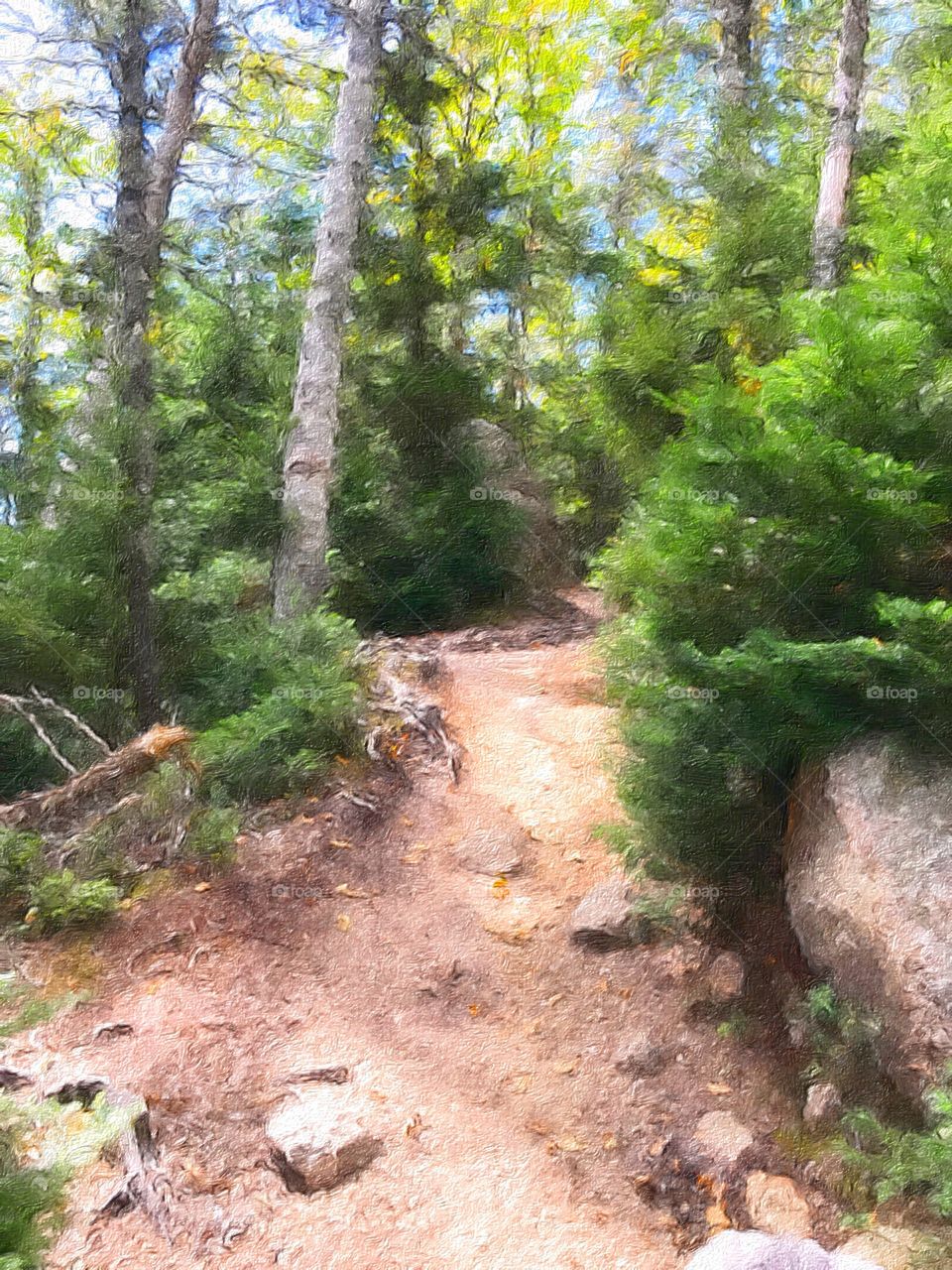 Mount Osceola Trail in New Hampshire white mountains. Photo filter was used to make this photograph look like an oil painting