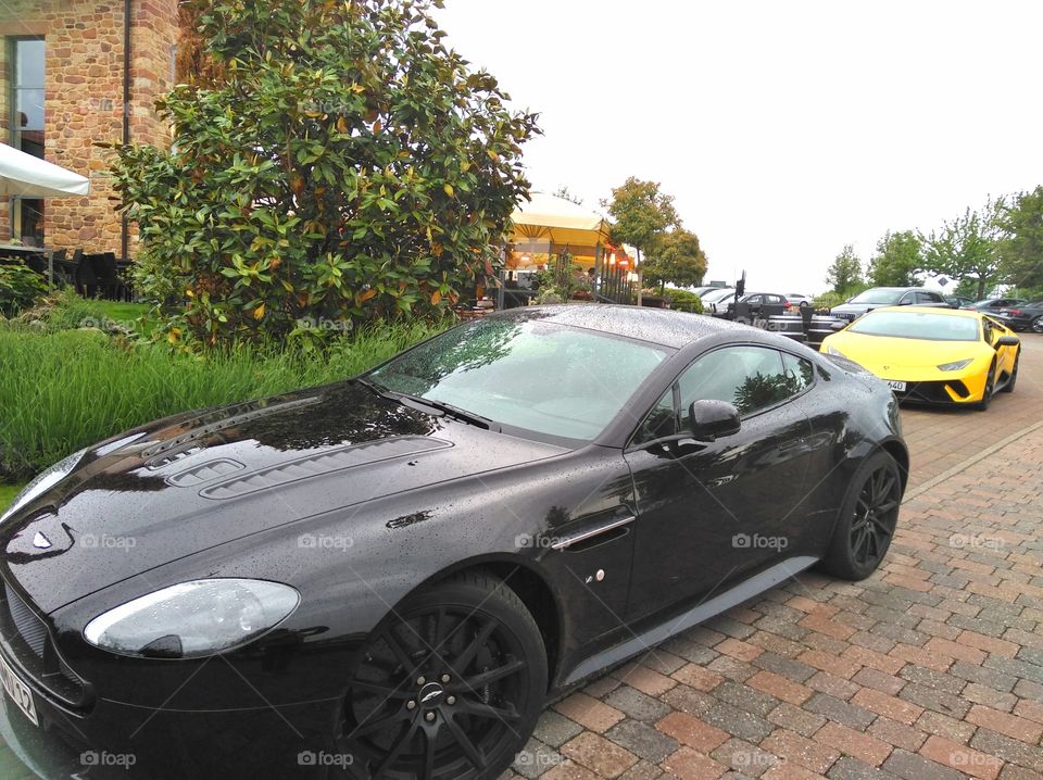 Aston Martin and Lamborghini