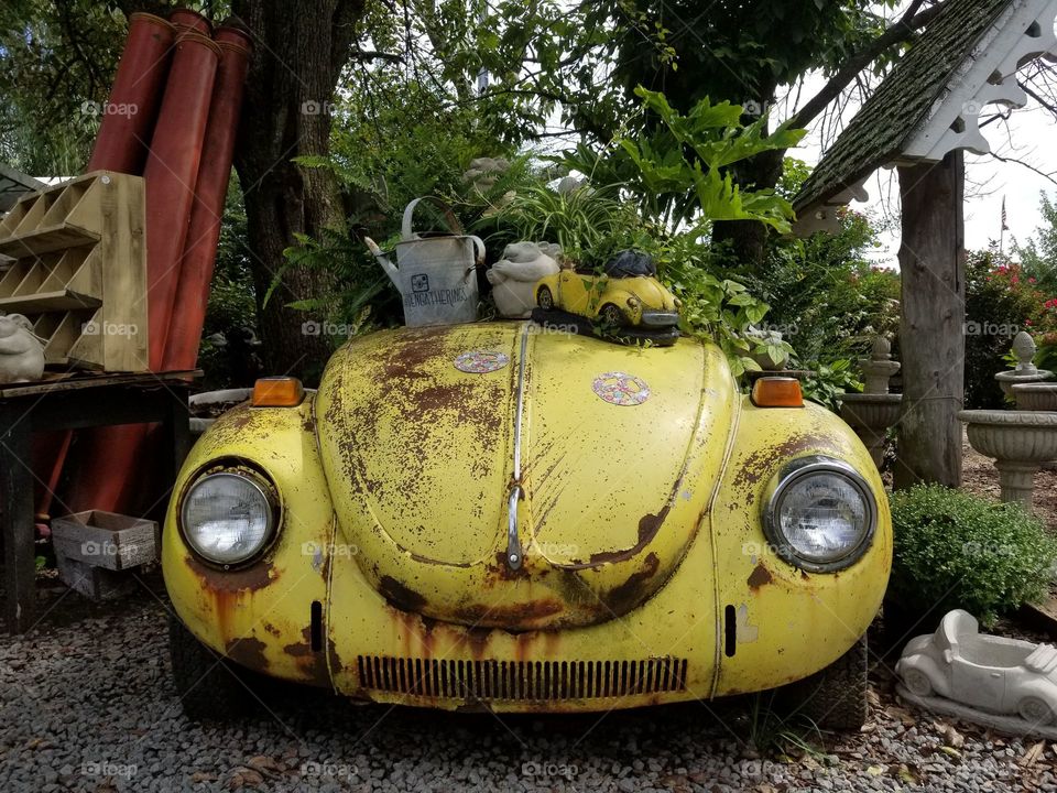 Old rusty yellow car with plants