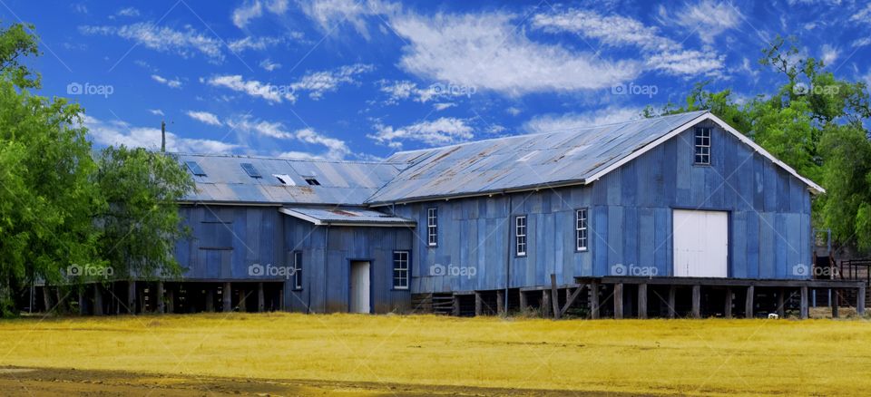 The Shearing Shed