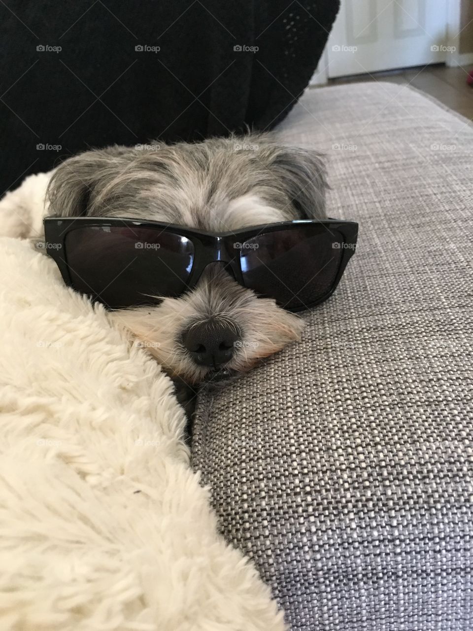 Too cool for school 