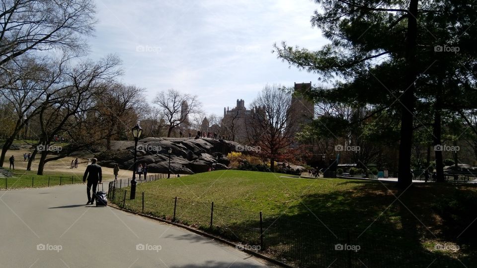 central park in spring
