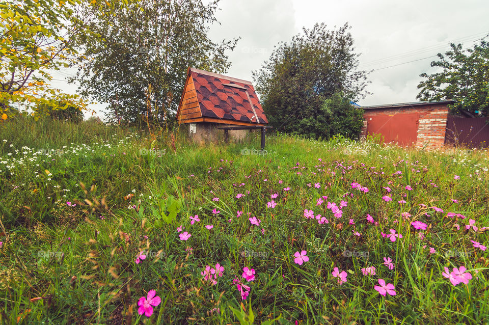 Well of water in the village with beautiful flowers