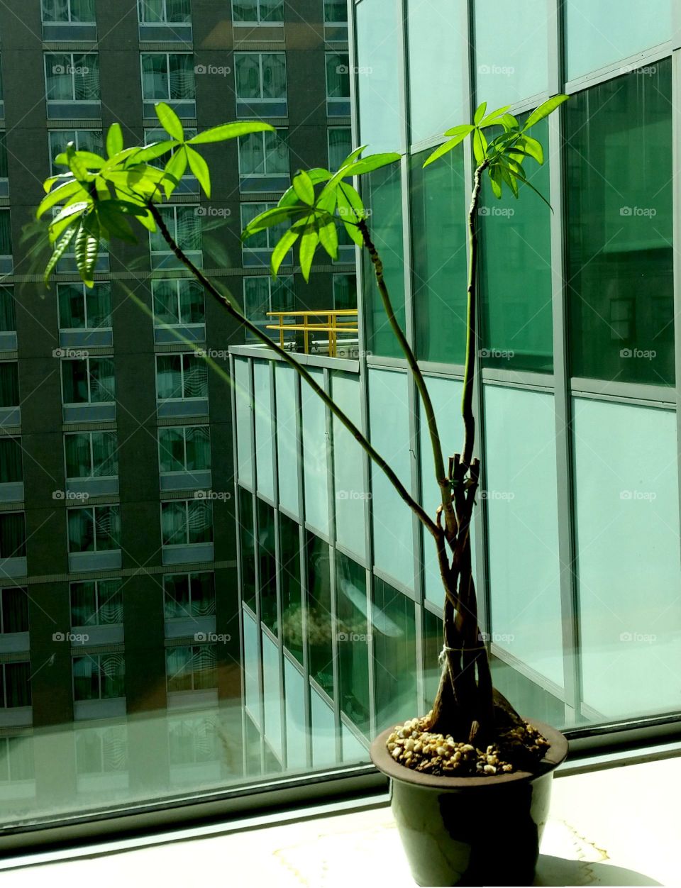 Glass Items, Window, Architecture, City, House