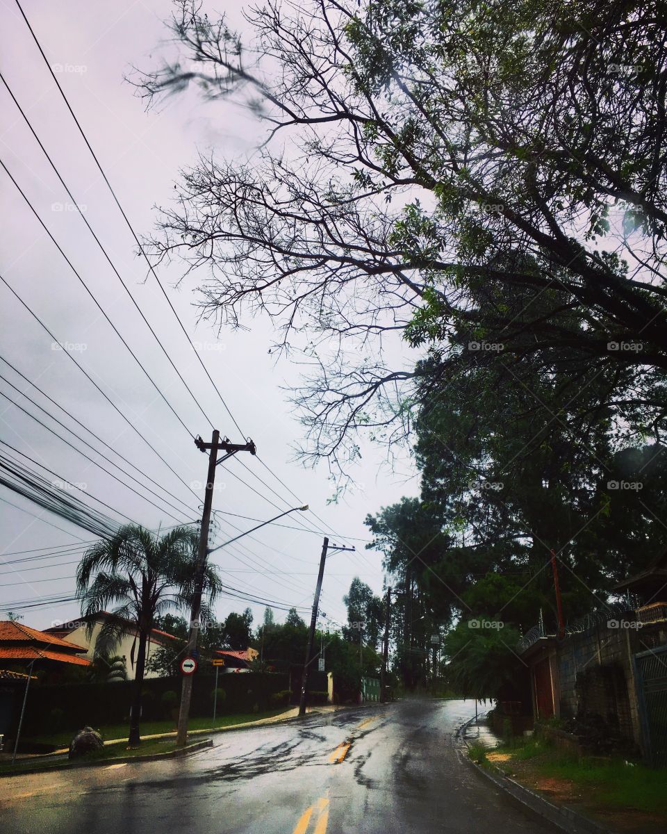 Dá-lhe dona #Chuva. Como vem e não cessa. Ô louco...
☔️ 
#natureza #paisagem #fotografia #mobgrafia #hobby