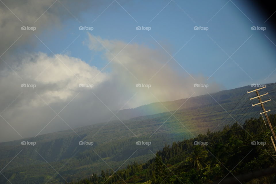 Landscape, Mountain, Fog, Sky, Tree