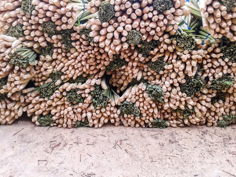 lemongrass. fresh lemongrass