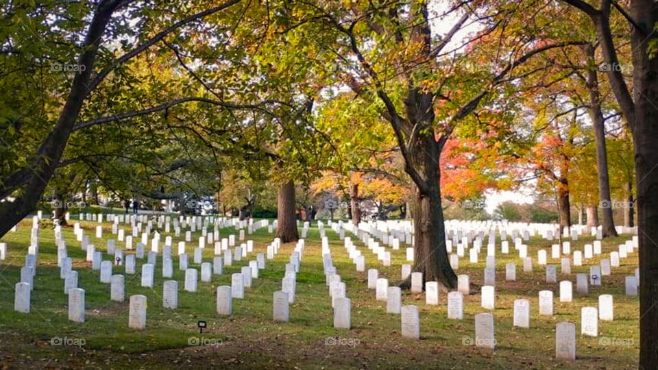 Gravesites at Arlington National Cemetery on a cool Fall afternoon while leaves are changing color.