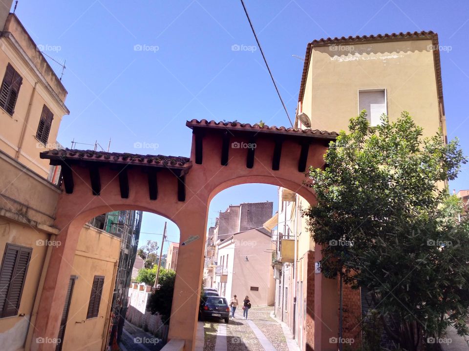 Editors' Choice: Photo of the Week