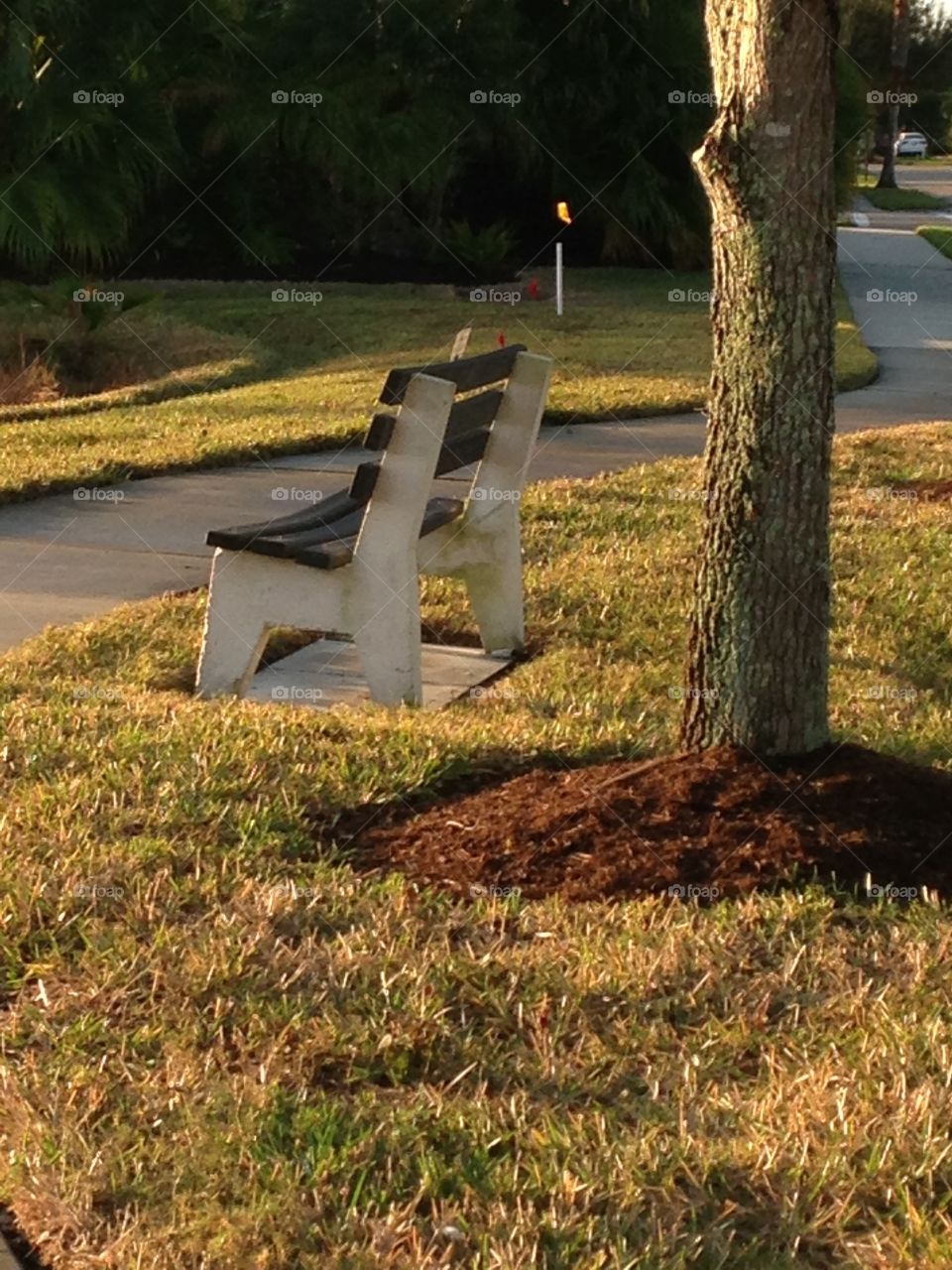 Bench at sunrise 