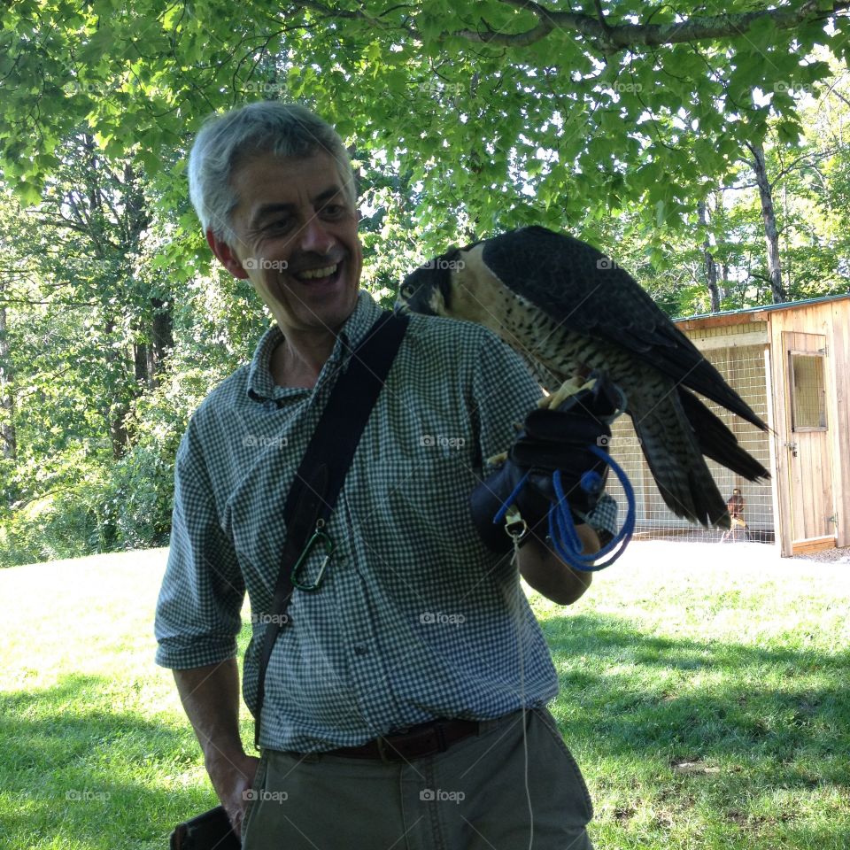 Falconry in Manchester, Vermont August 2016