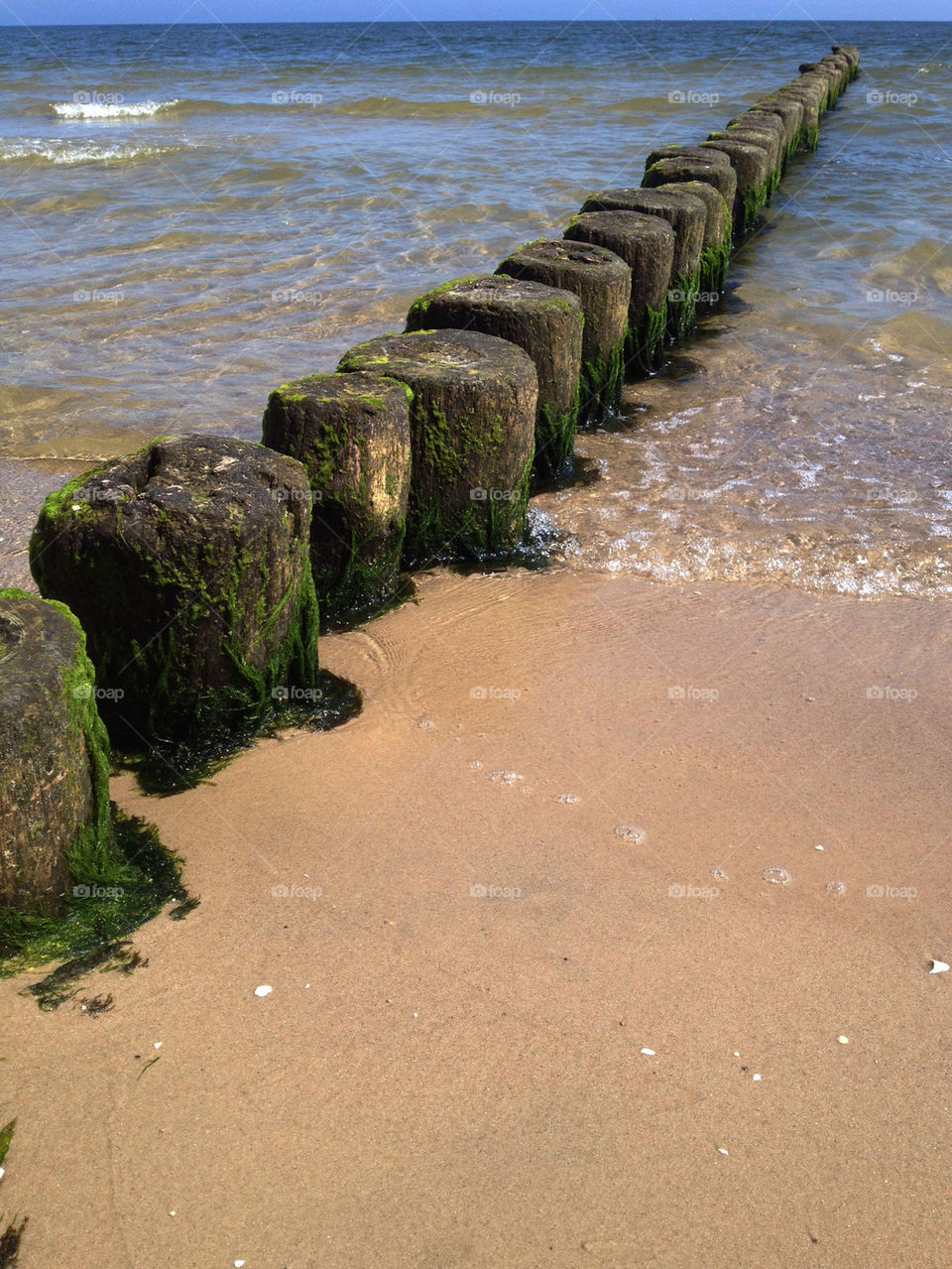 beach ocean wood water by cyrano