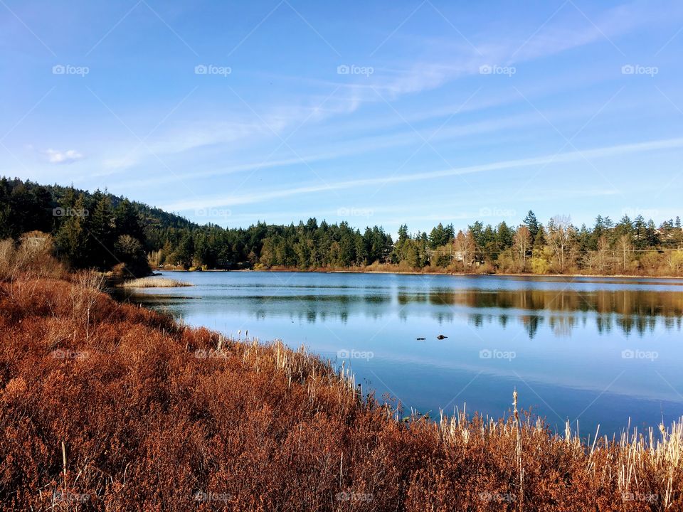 Florence Lake. Vancouver Island, British Columbia, Canada. 