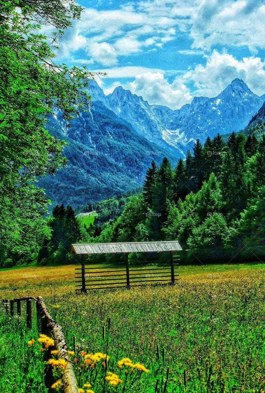 Slovenian mountain landscape taken between the villages of Podkoren and Kranjska Gora, looking across meadows to the Julian Alps with a traditional hay rack in the foreground