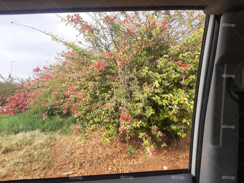 Please help me, I am very poor, I need your support and God is in need