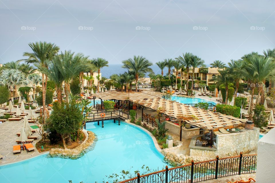 pool, hotel, palm, Sharm el Sheikh