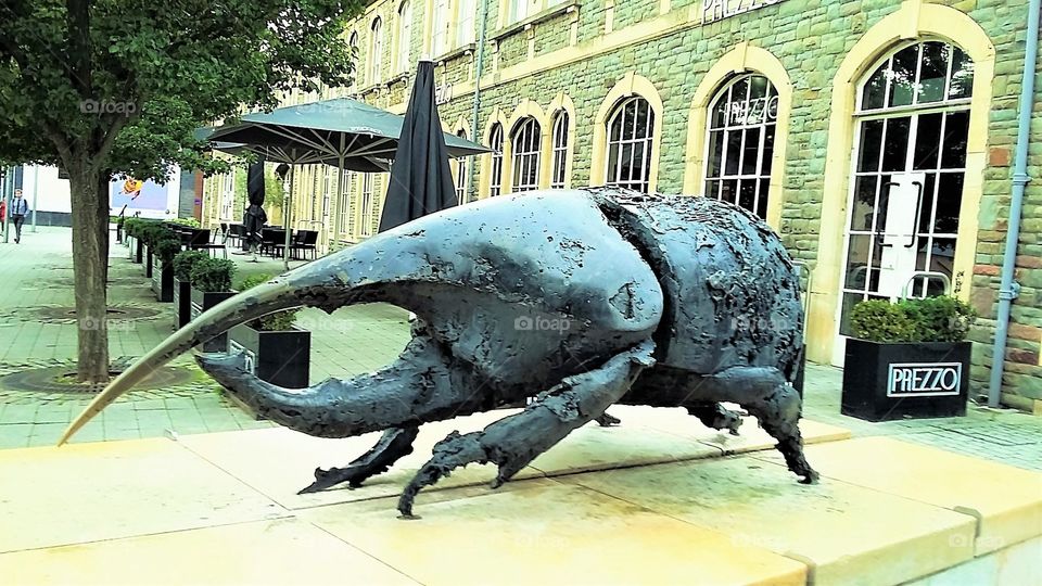 Beetle-effect Statute