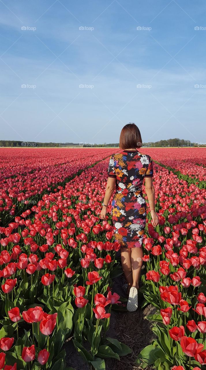 Plants around us. Beautiful tulips field in the Holland. Woman and flowers. It's spring time. Nature around us is amazing.