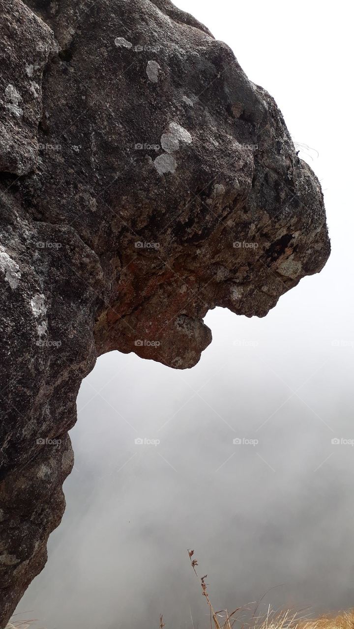 moonnar meeshapulimala