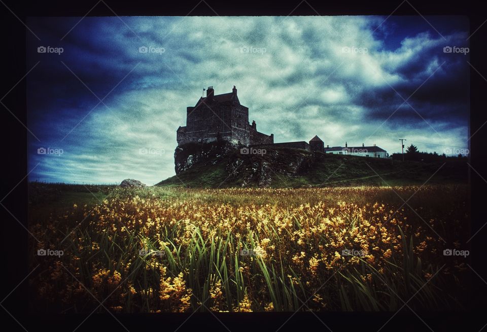 Castle. Scotland 